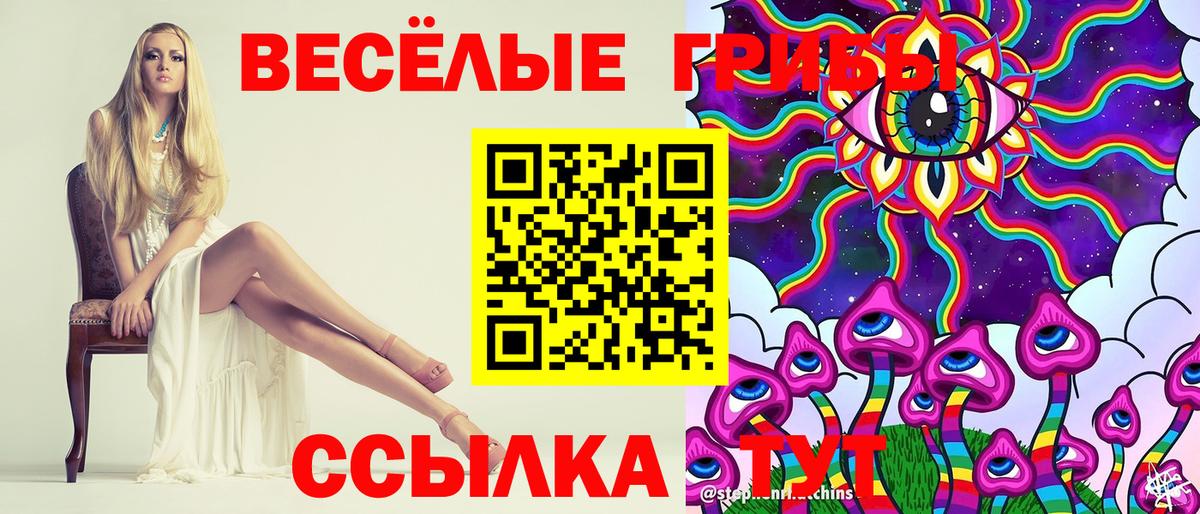 Псилоцибиновые грибы Cubensis  Вход с VPN  где купить   Псилоцибиновые грибы мицелий  Мичуринск 